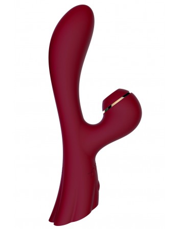 Vibromasseur double stimulation point G et clitoris par succion rouge USB - FAIRYRED