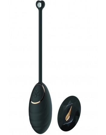 Œuf vibrant noir avec télécommande USB - DAISYBLACK